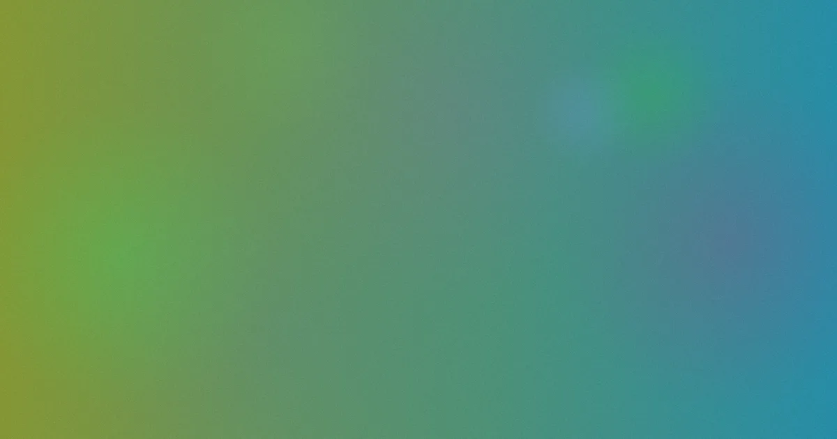 白石麻衣避坑：入坑前必看